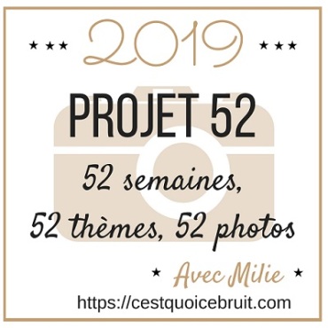 logo-projet-52-2019-milie